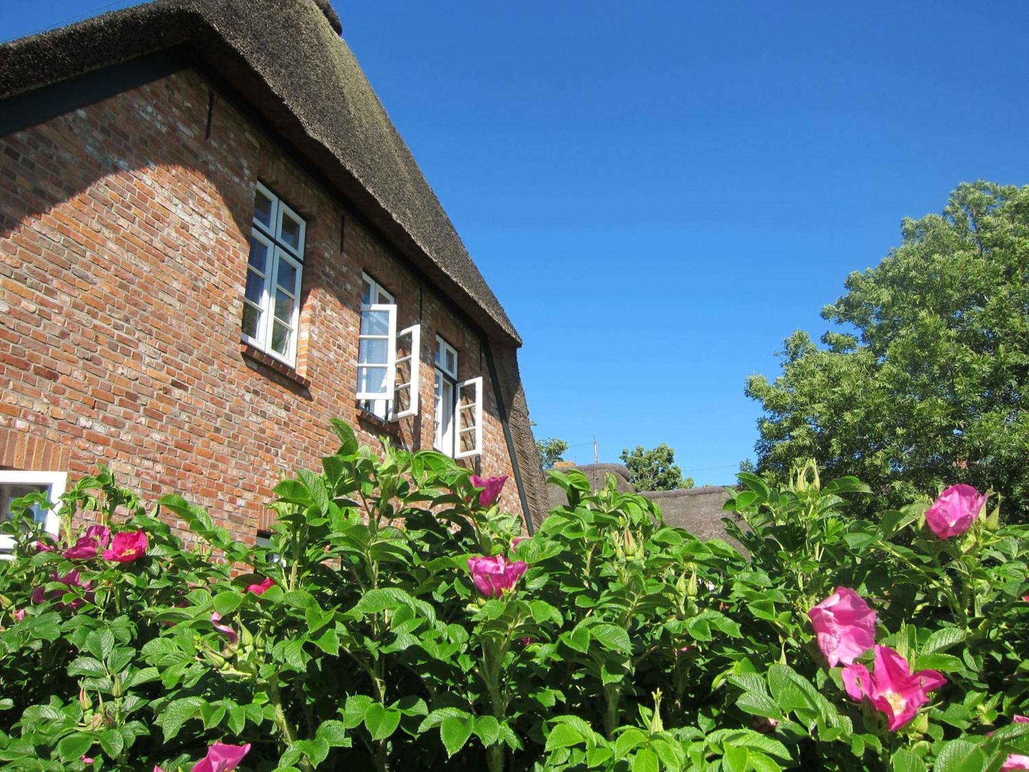 Nordseekrabbe 12 Herrenhof Wrixum ภายนอก รูปภาพ